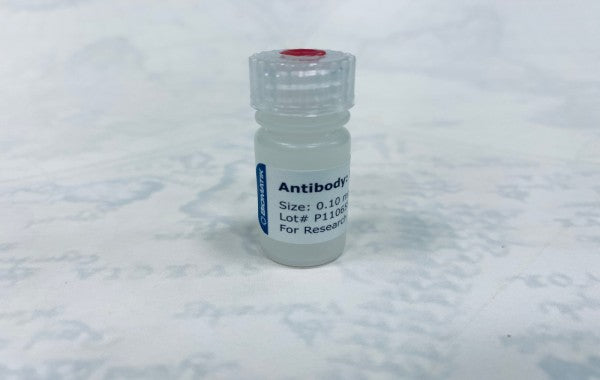 2 Weeks Mouse Polyclonal Antibody 2 Weeks Mouse Polyclonal Antibody
